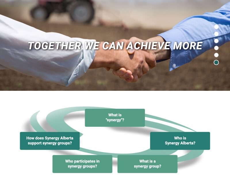 Synergy Alberta website